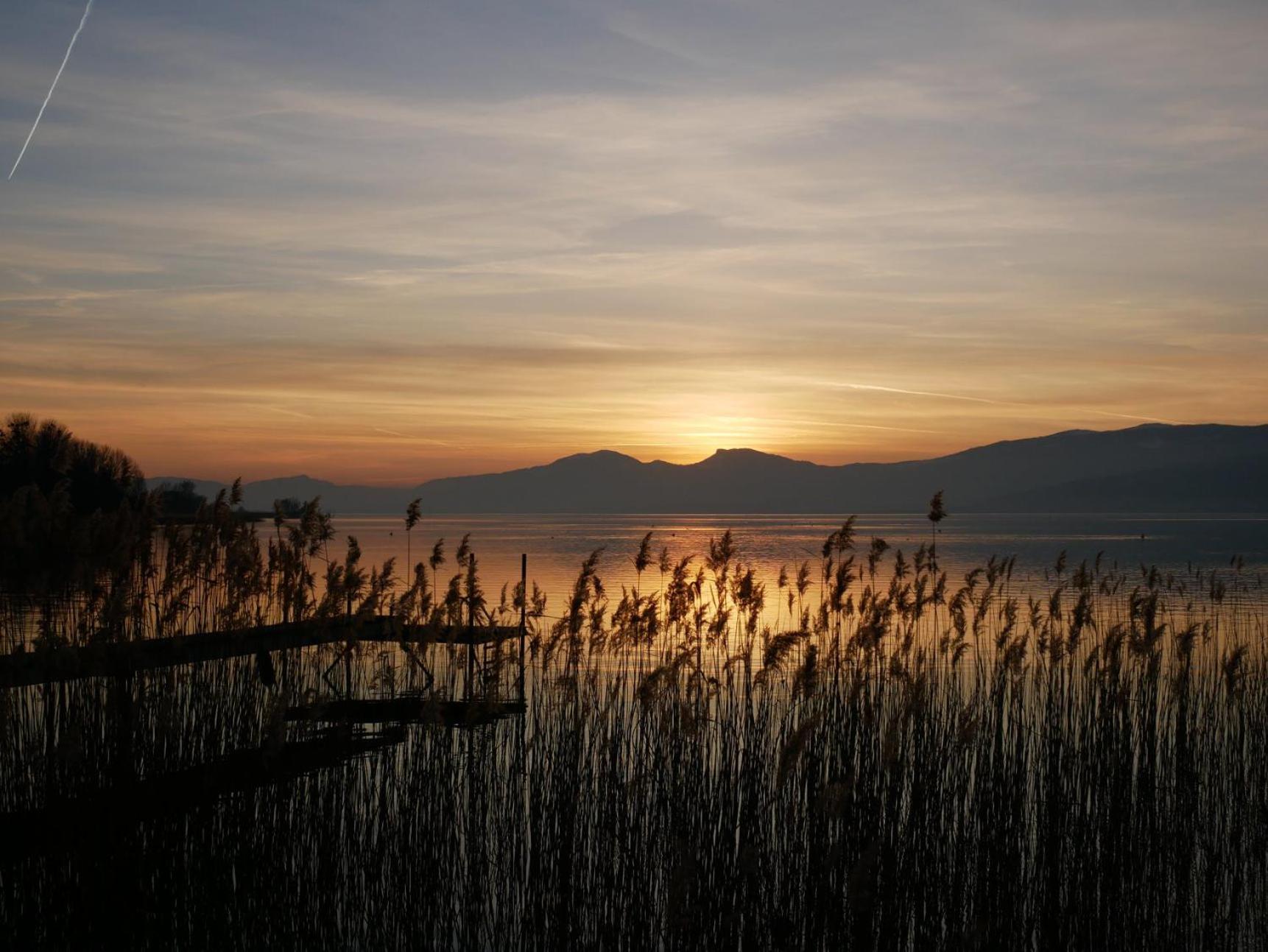 Kusmi Love Piscine Proche Du Lac Annecy Dış mekan fotoğraf